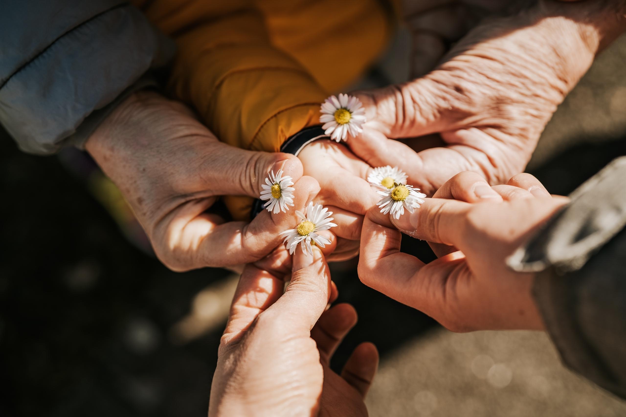 El 60% de las familias recurren a los abuelos y abuelas para el cuidado de sus menores en vacaciones, según Fundación Alares
